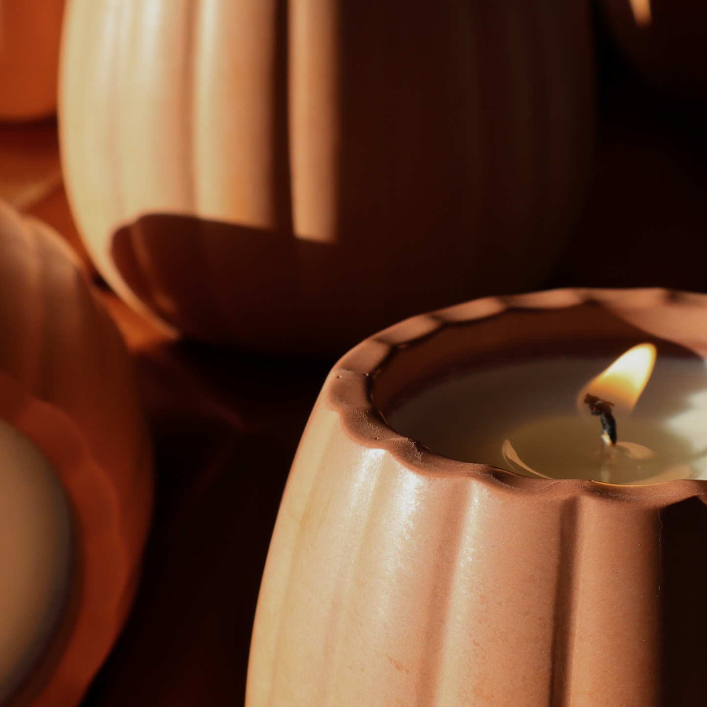 Pumpkin Guts | special edition concrete candle