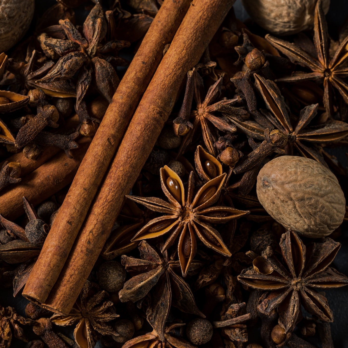Spiced Apple | concrete candle