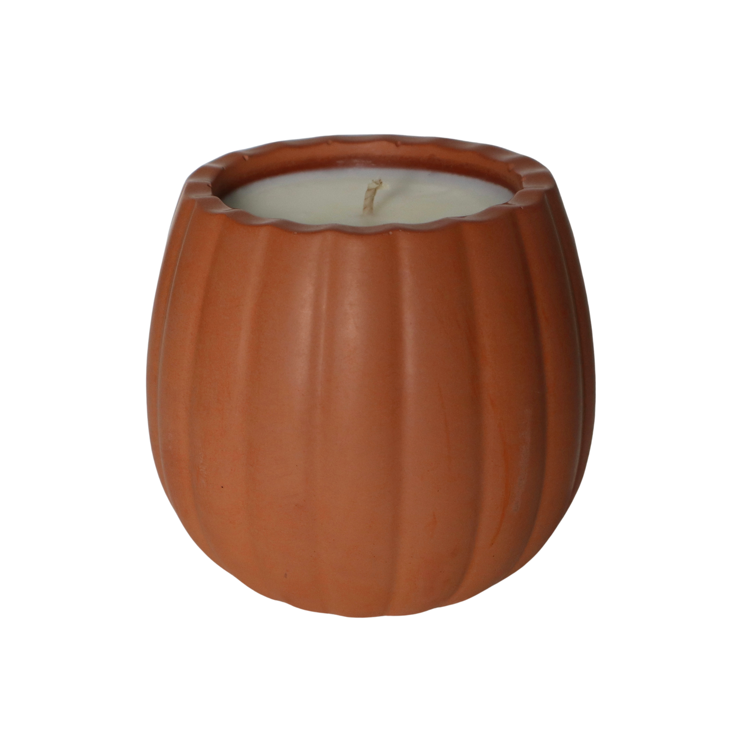 Pumpkin Guts | special edition concrete candle