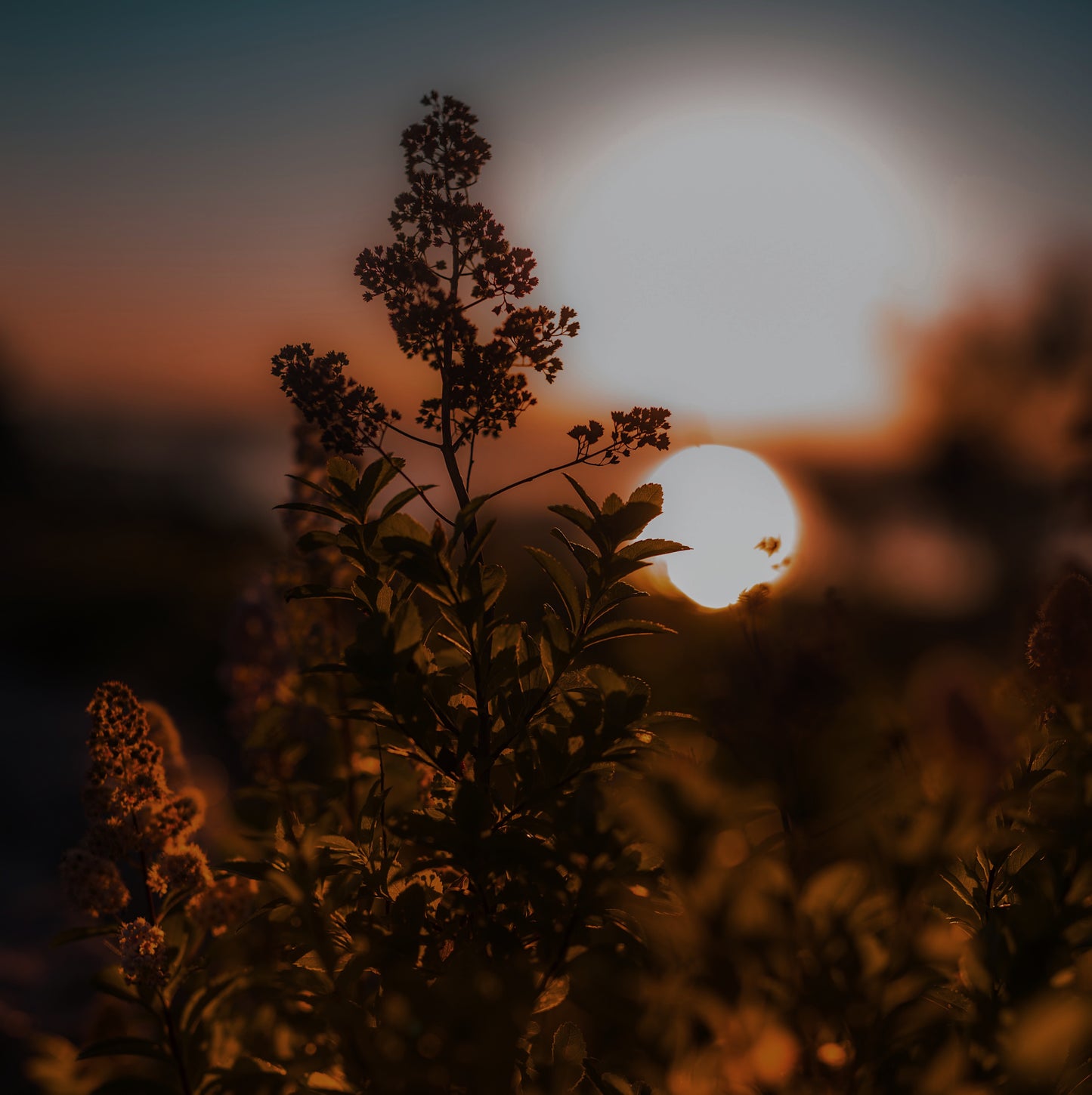 Golden Hour | concrete candle