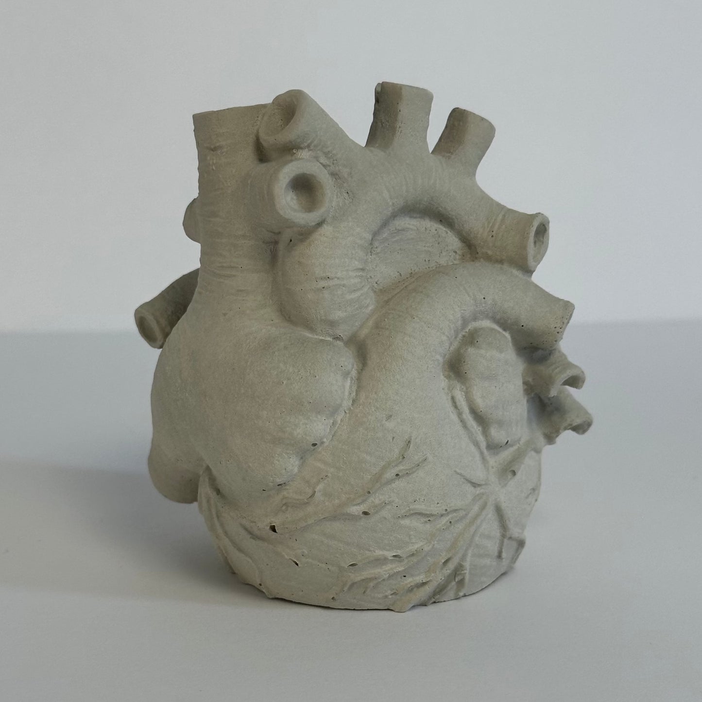 Anatomical Heart Tea Light Holder