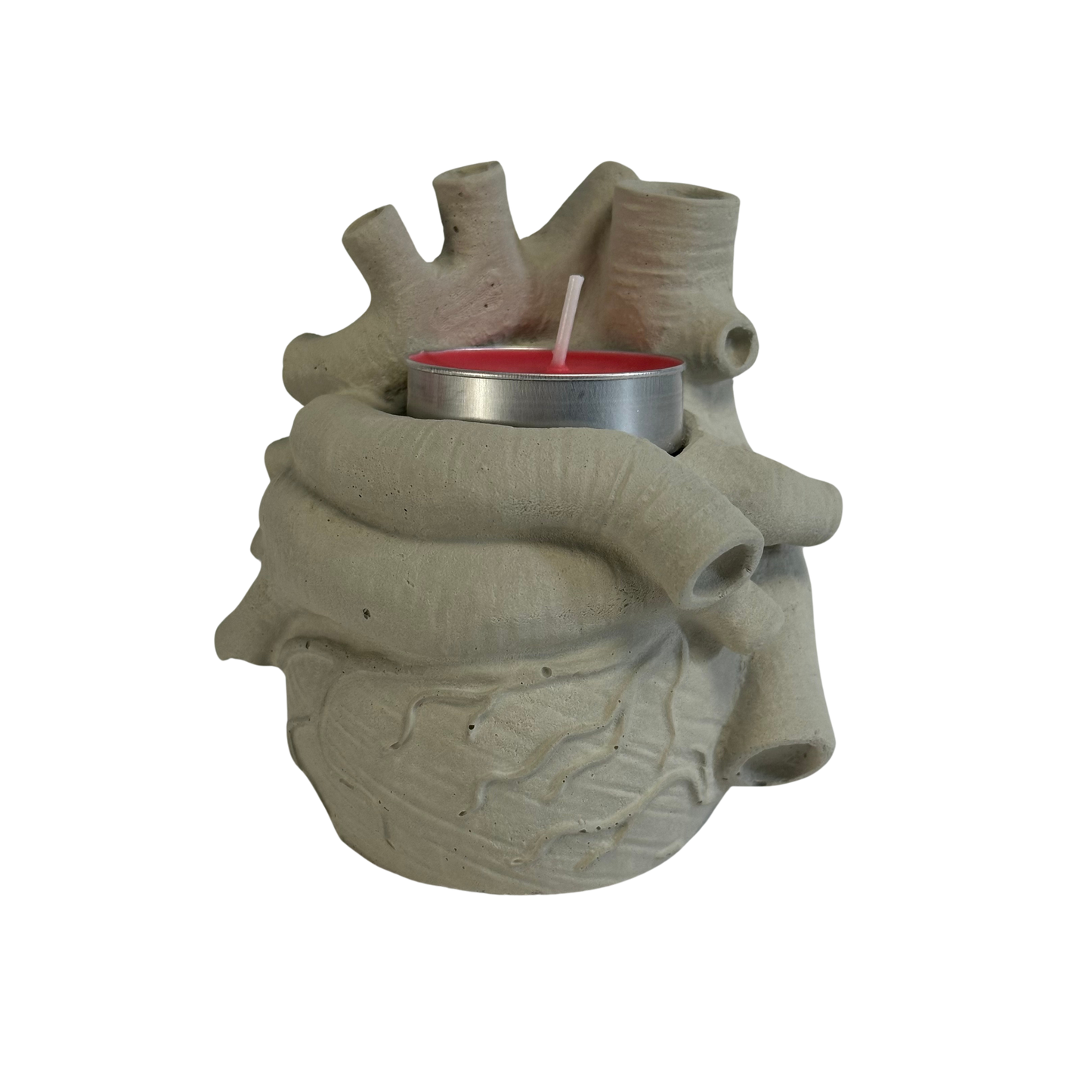 Anatomical Heart Tea Light Holder