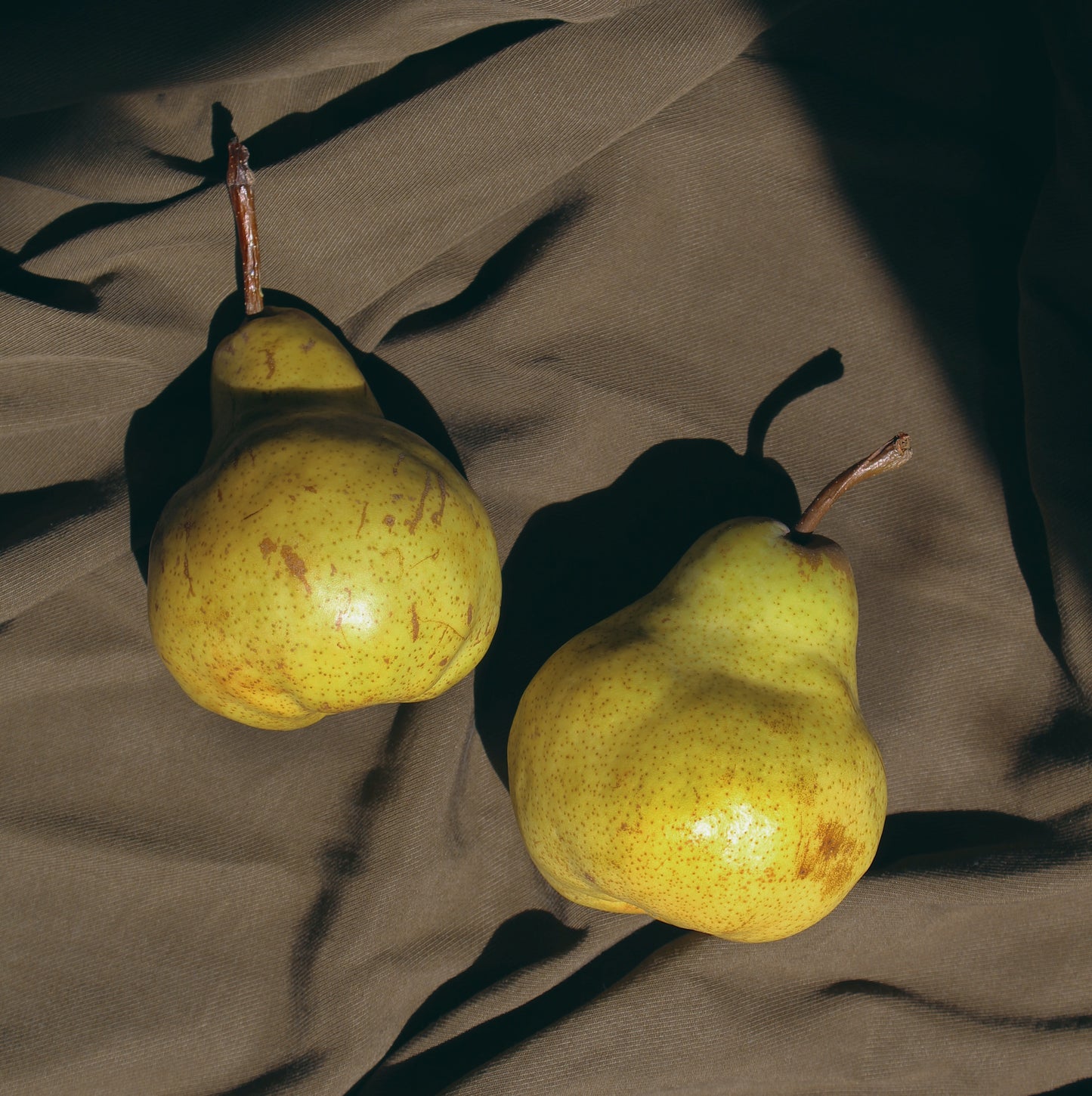 Velvet Pear | concrete candle