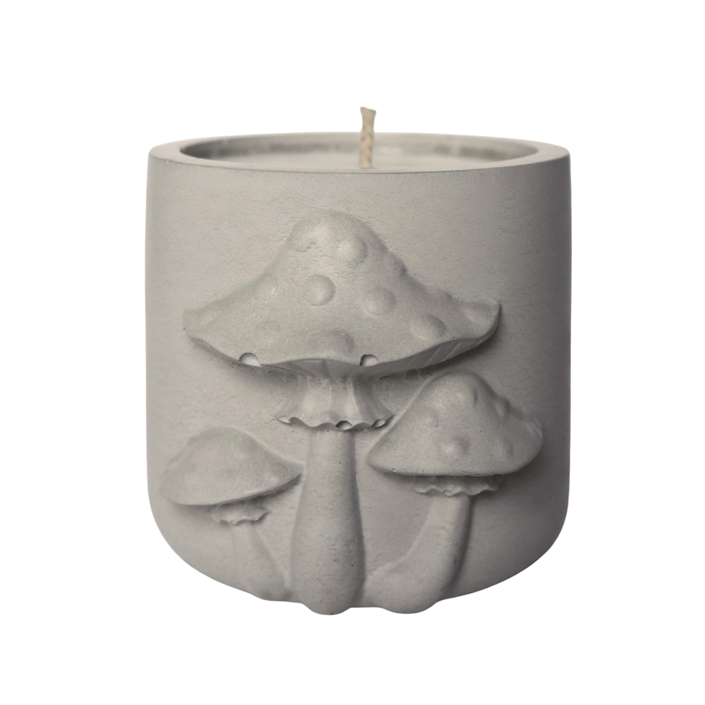 Forest Floor | special edition concrete candle