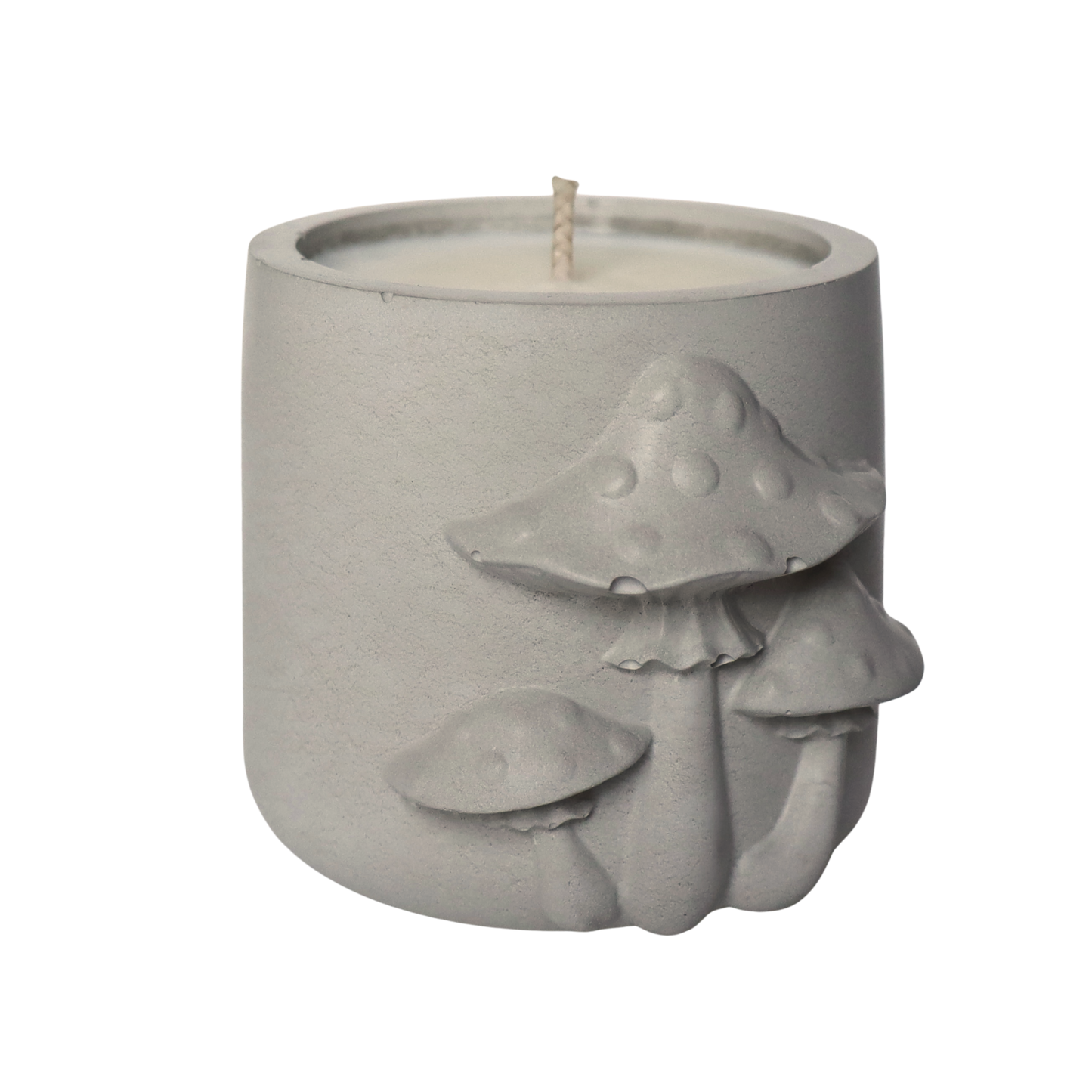 Forest Floor | special edition concrete candle