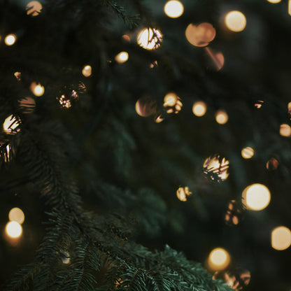 O' Christmas Tree | metallic glass candle